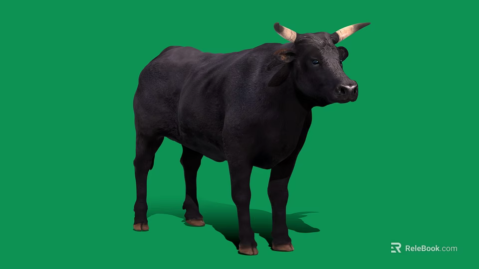 Full View Black Bull With Curved Horns Standing On Green Background 3d model 