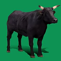 Full View Black Bull With Curved Horns Standing On Green Background