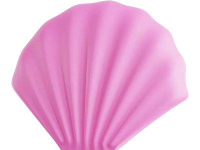 Pink Shell Shaped Decorative Ornament Set For Stylish Home Decor 3d model