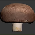 Fresh Red Mushroom With Smooth Round Cap And White Stem On Dark Background