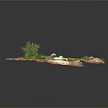 Modern Decorative Arrangement With Wooden Plank Stones Fresh Green Moss And Natural Elements