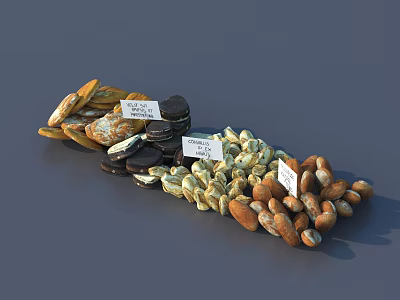 Variety of Natural Stones and Wooden Pieces Displayed with Labels and Different Textures 3d model