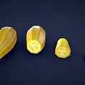 Fresh Zucchini Whole and Sliced On Dark Background Displaying Inner Texture