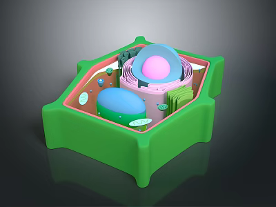 Medical Device 3D Cellular Structure Model For Biological Education 3d model