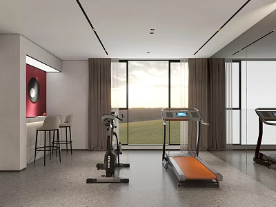 Modern Home Gym Interior With Treadmill Exercise Bike Bar Counter And Green Field View 3d model