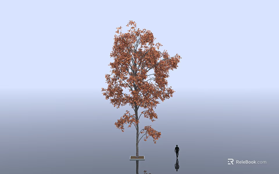 Tall Deciduous Tree With Orange Red Foliage Person Standing And Water Reflection Under Blue Sky 3d model 