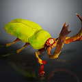 Vibrant Green Beetle With Curved Brown Horns And Colorful Legs On Dark Reflective Surface