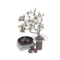 White Flower Branches In Transparent Vase On Textured Base With Black Bowl Purple Fruits