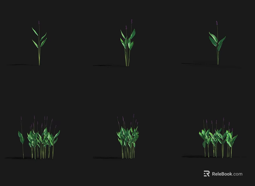 Arbor Growth Stages With Single And Multiple Plant Forms Green Leaves And Purple Stems 3d model 