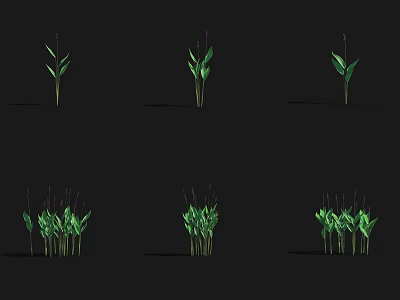 Arbor Growth Stages With Single And Multiple Plant Forms Green Leaves And Purple Stems 3d model