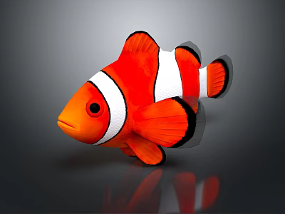 Orange And White Clownfish Aquatic Animal With Black Edged Fins 3D Rendered On Gray Background 3d model