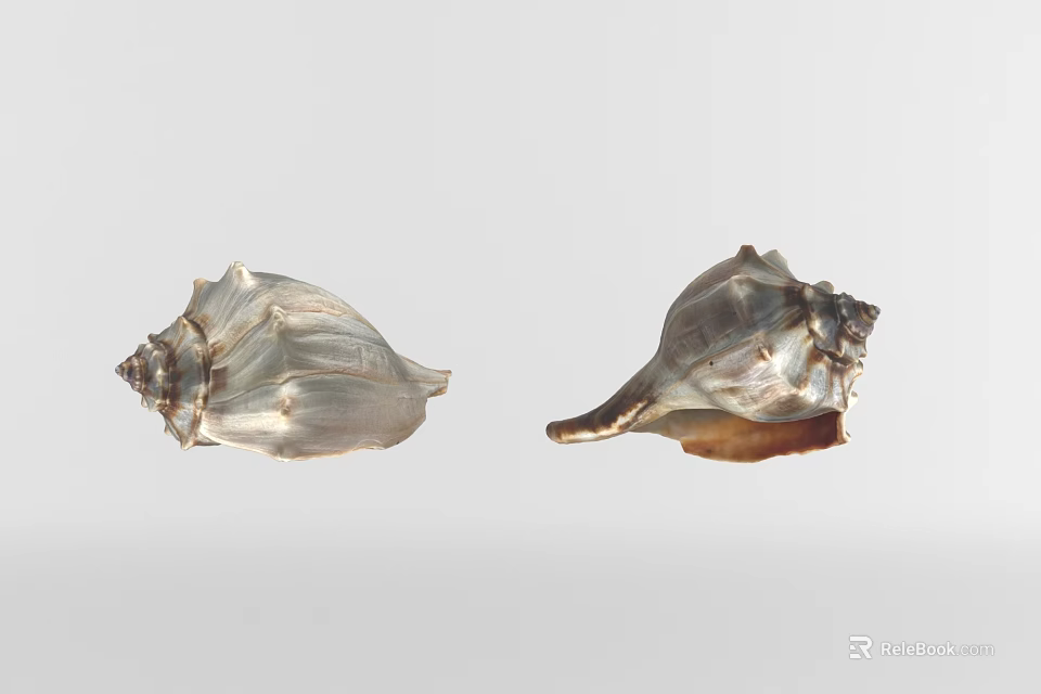 Shell Shaped Silver Tone Decorative Ornament Set For Home Decor 3d model