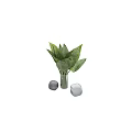 Lush Green Leafy Plant in Transparent Glass Vase with Black Base for Home Decor