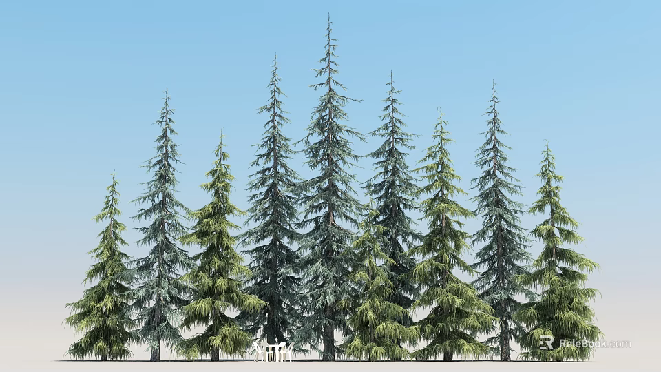 Tall Green Pine Trees Standing In Row Against Clear Blue Sky 3d model