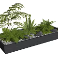 Green Container Garden With Various Ferns Succulents Small Stones And Rectangular Gray Planter
