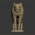 Cheetah Model Standing On Gray Surface With Reflection And Detailed Spots