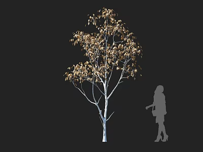 Golden Leaf Tree With White Trunk And Human Silhouette In Dark Background 3d model
