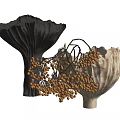 Two Ruffled Black and Cream Vases with Decorative Brown Berry Branches for Home Decor