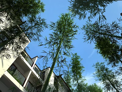 Public Facility With Tall Bamboo Plants White Building Balcony Windows And Blue Sky 3d model