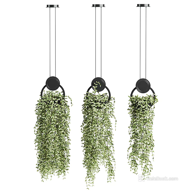 Three Hanging Basket Plants With Trailing Green Foliage And Black Hook Design 3d model 
