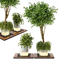 Cylindrical Tree Planter with Lush Green Trees and Black Pebbles on Wooden Platform