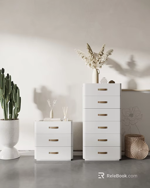 Minimalist White Chest of Drawers With Golden Handles Cactus And Dried Flowers 3d model 
