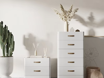 Minimalist White Chest of Drawers With Golden Handles Cactus And Dried Flowers 3d model