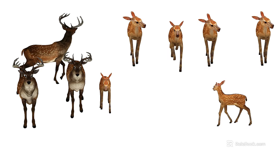 Brown Fur Deer Herd with Antlers Including Adult and Young Fawns 3d model 