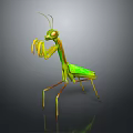 Green Mantis 3D Model Standing With Yellow Legs And Antenna On Reflective Surface