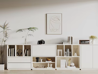 Modern White Storage Cabinet With Shelves Drawers Books Vintage Camera Decorations And Green Plants 3d model