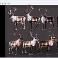 High Quality Reindeer Images Featuring Eight Different Poses And Stances Collection 3d model
