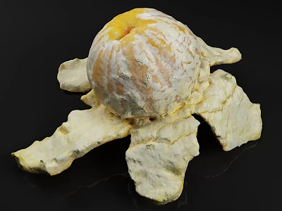 Fresh Peeled Citrus Fruit With Spread Out Peel Displayed On Black Background 3d model