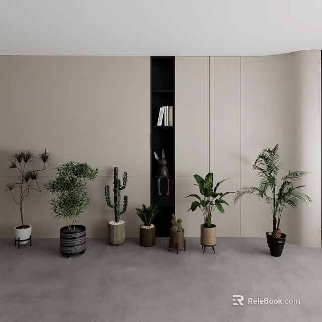 Modern Indoor Bonsai Potted Plants With Various Types And Stylish Planters 3d model 