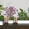 Stylish Indoor Plant Combinations With Purple Flowers Green Foliage White Planters And Wooden Lattice Background