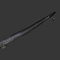 Slender Aquatic Fish With Elongated Gray Body And Streamlined Shape In Neutral Background