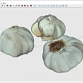Three Fresh White Garlic Bulbs With Natural Texture And Partially Peeled