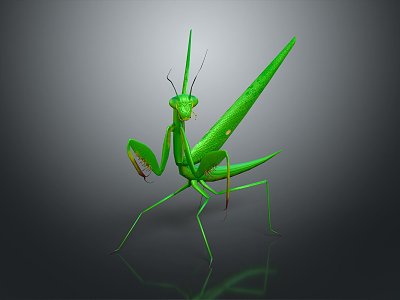 modern mantis sabros winged insect 3d model