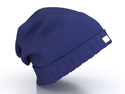 Dark Blue Knitted Ribbed Hat With White Label On The Side 3d model