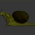 Snail Cartoon Snail Small Snail Reptile Cold Blooded Animal Reptile 3d model