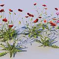 Vibrant Red and Pink Flowers with Green Stems and Lush Leaves in Natural Setting