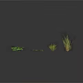 Four Different Green Plants With Various Leaf Shapes And Heights On Dark Background With Reflections