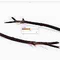 Natural Dry Wood Branches With Raw Texture And Branched Twig Ends