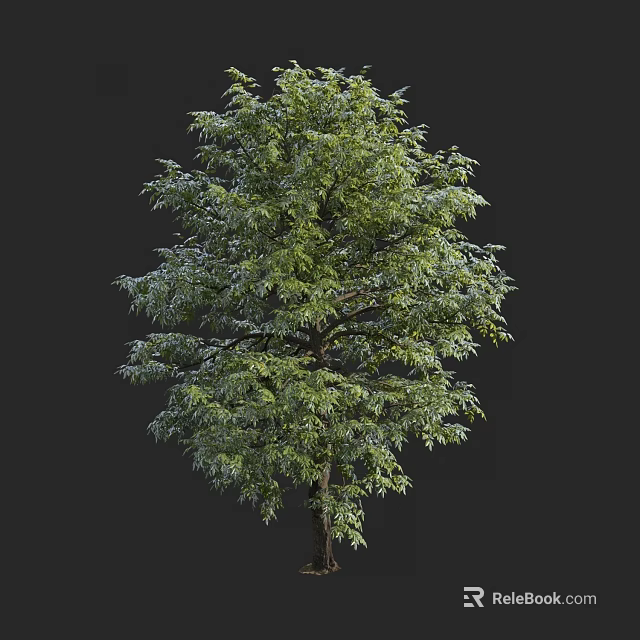 Lush Arbor With Dense Green Foliage And Sturdy Trunk Against Dark Backdrop 3d model 