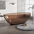 Modern Brown Transparent Bathtub Interior With Furry Rug Striped Wall Art And Potted Plant