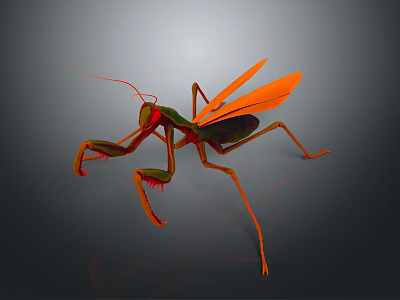 3D Rendered Orange And Green Mantis In Dynamic Standing Pose 3d model