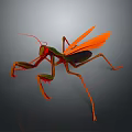 3D Rendered Orange And Green Mantis In Dynamic Standing Pose