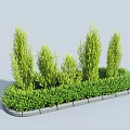 Lush Green Shrubs With Various Heights Arranged In Curved Stone Border