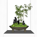 Decorative Indoor Bonsai Plant Featuring Green Moss Bamboo and Rocks on White Stand