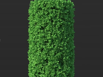 Well Trimmed Green Cylindrical Shrub With Lush Foliage For Garden Landscaping 3d model