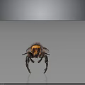 3D Rendering of Wasp with Yellow and Black Striped Body Long Legs and Compound Eyes